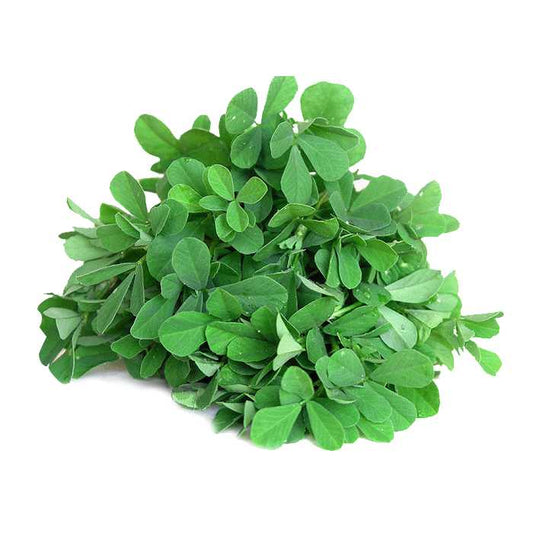 Fenugreek