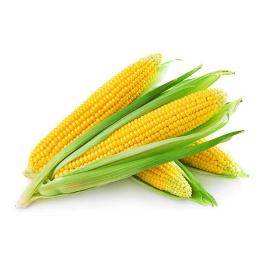 Corn