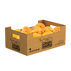 Chaunsa Mango 6KG Box