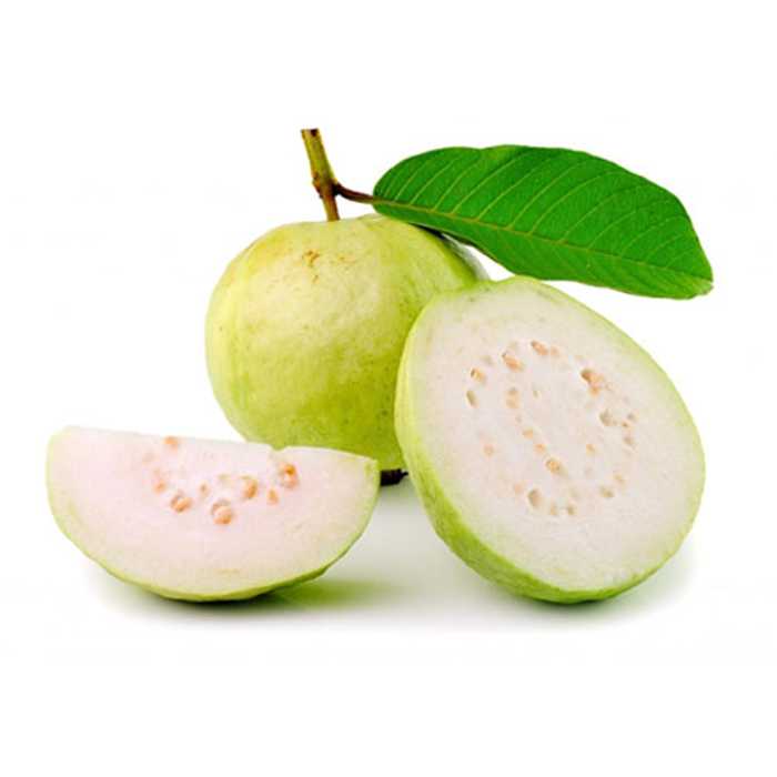 Guava