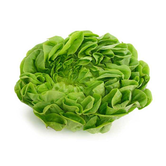 Lettuce 1Kg