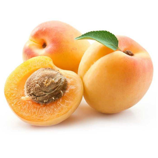 Apricot