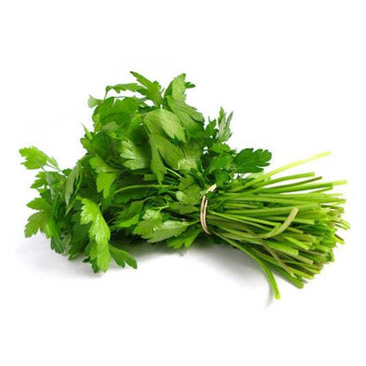 Coriander