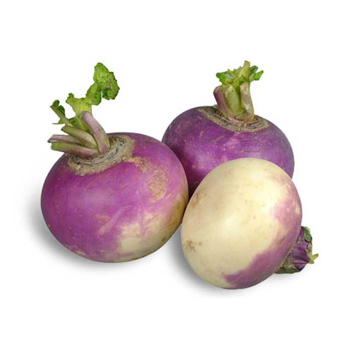 Turnip