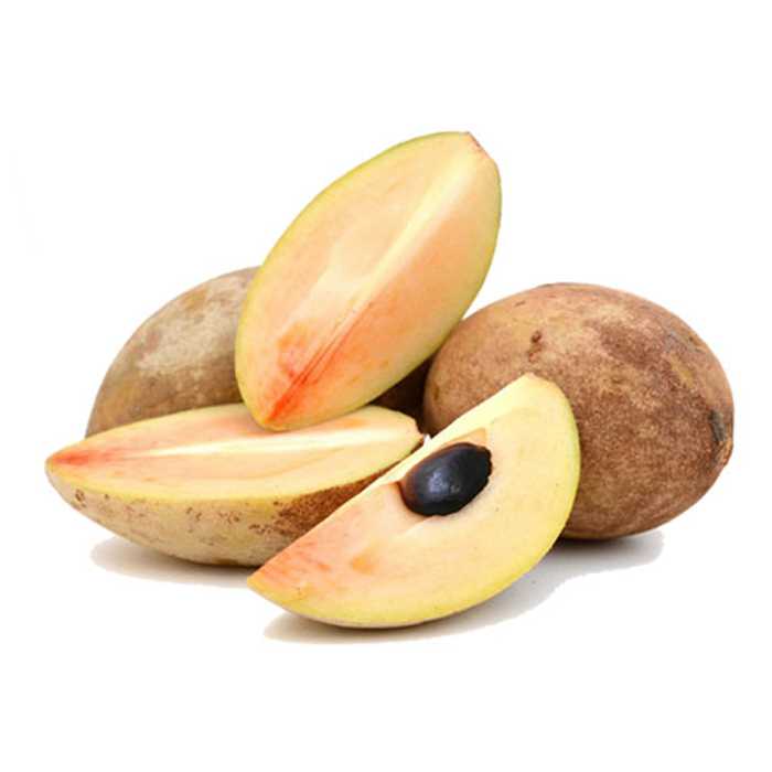 Sapodilla