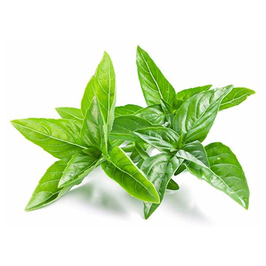 Thai Basil Leave 10 gm