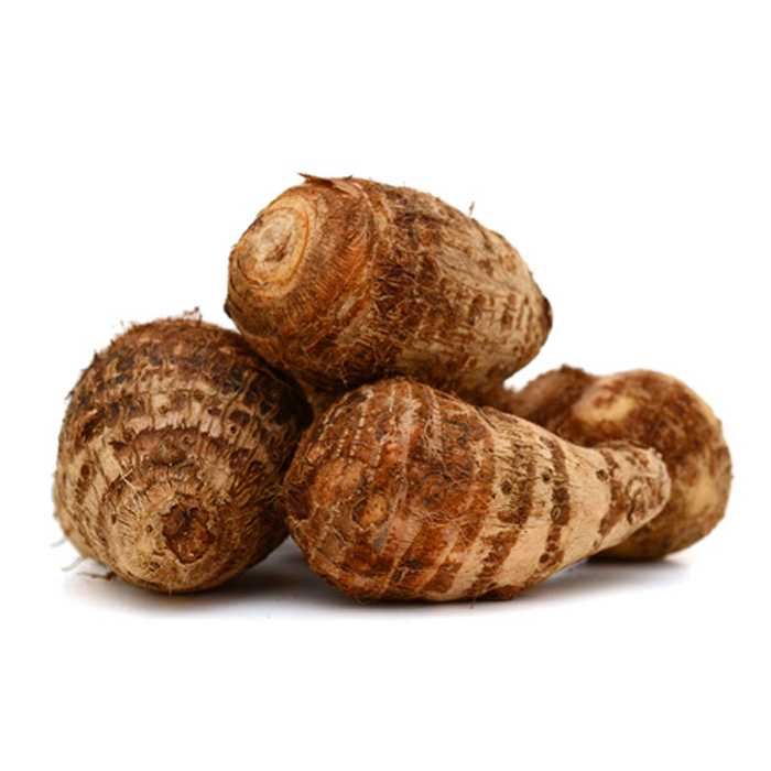 Colocasia