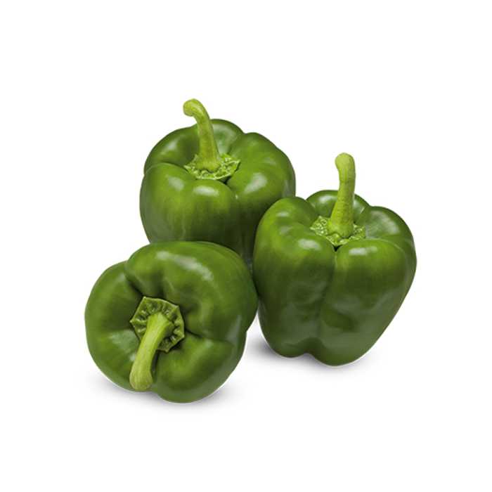 Capsicum